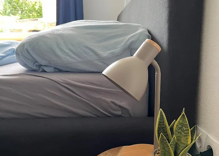 Rosa,s Garten شقة Schlieben